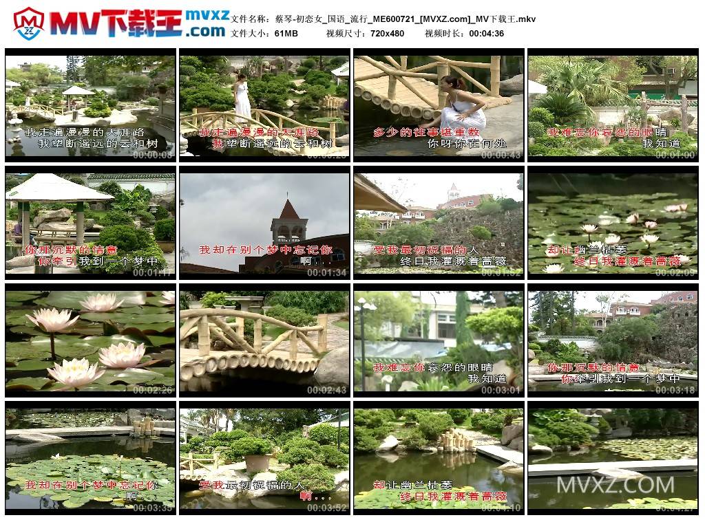 蔡琴-初恋女_国语_流行_ME600721